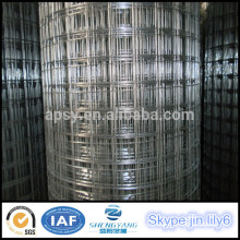 Wire mesh for chicken cage mesh fencing